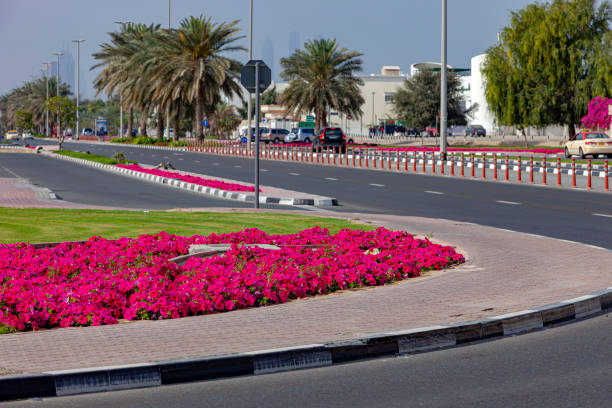 al wasl best clincs in al manara