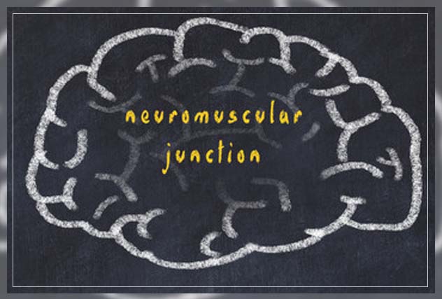 neuromuscular therapy and how it works