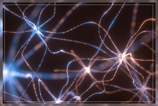 how the neurotransmitters work 