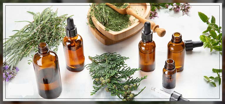understanding essential oils