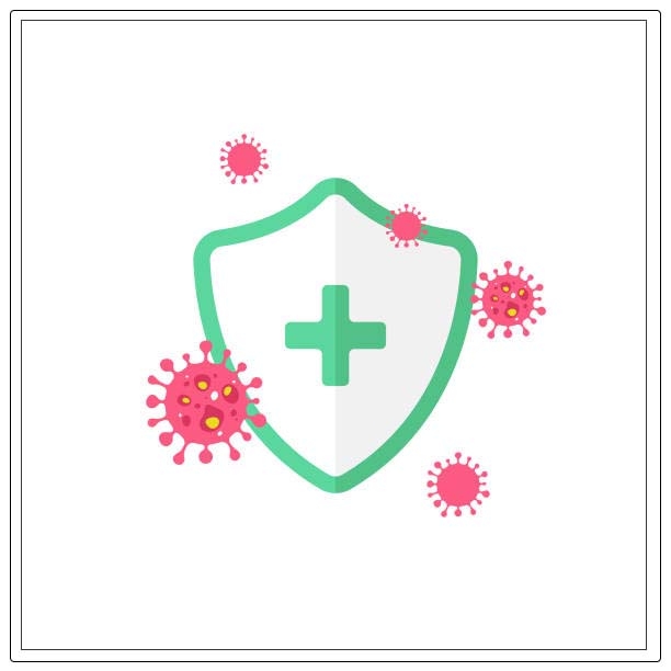 immune system working