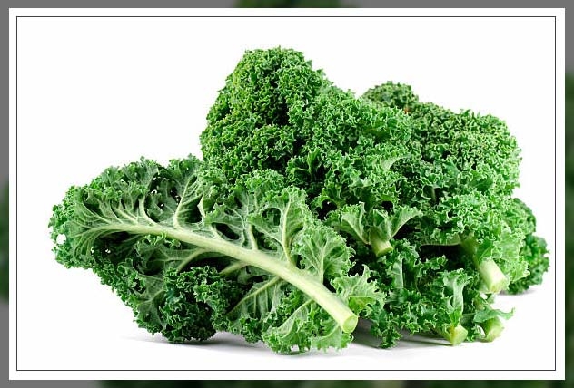 superfoods for weight loss 5