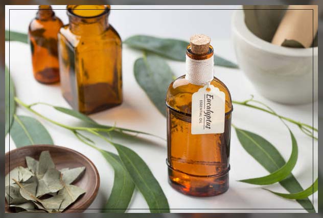 Eucalyptus oil 11