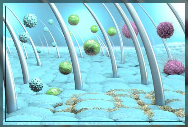 Fungal infection skin 14