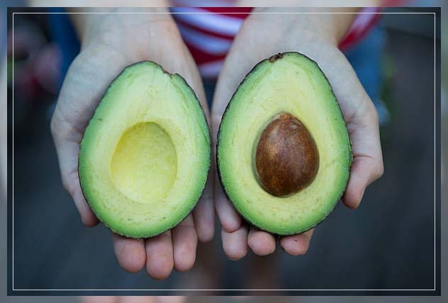 avocado benefits 1
