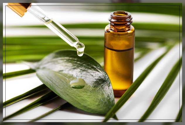 tea tree oil dripping on leaf from a dropper