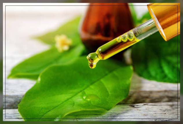 tea tree oil dropping on a leaf