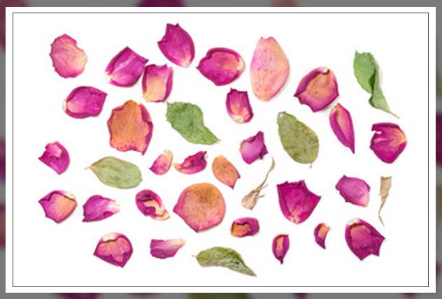 the benefits of dried flowers 