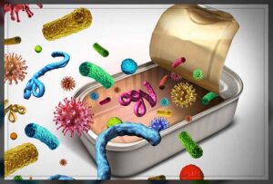 the harmful effects of food poisoning 