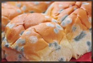 avoid leaving food out in warm temperatures 