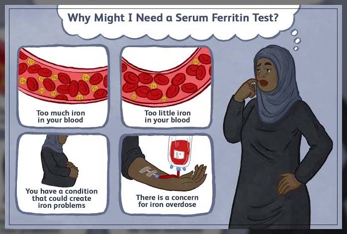 ferritin levels
