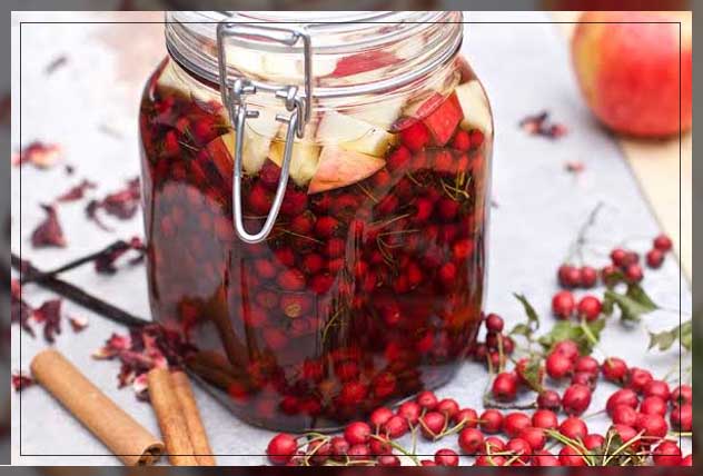 hawthorn berries 3
