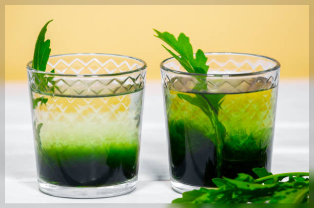 Liquid chlorophyll 3