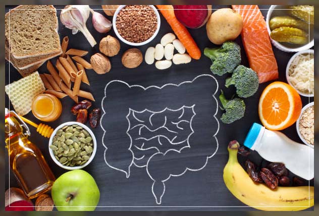 Digestive system 3