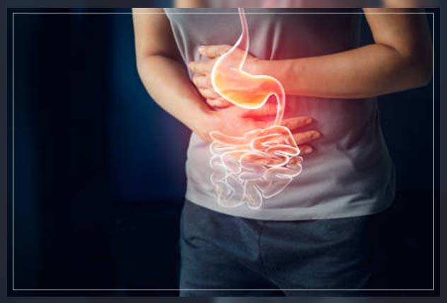 Digestive system 6