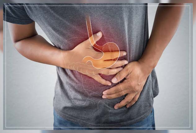 Digestive system 9