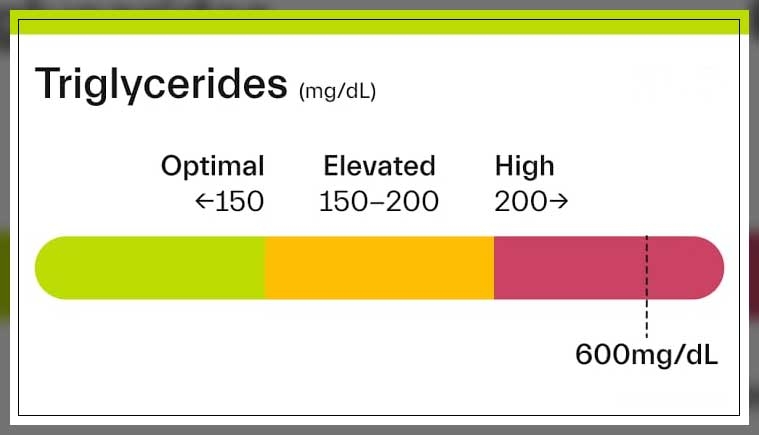 High Triglycerides 1