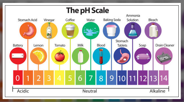 What is Oral pH and How Does it Affect Your Health? - All About Smiles